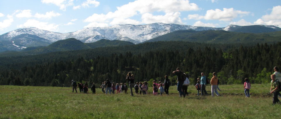 Escape To Montana’s Wild Beauty: A Campout At Wood Lake